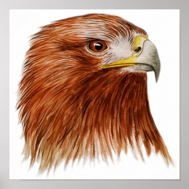 Golden Eagle 2011 Poster (Framsidan)