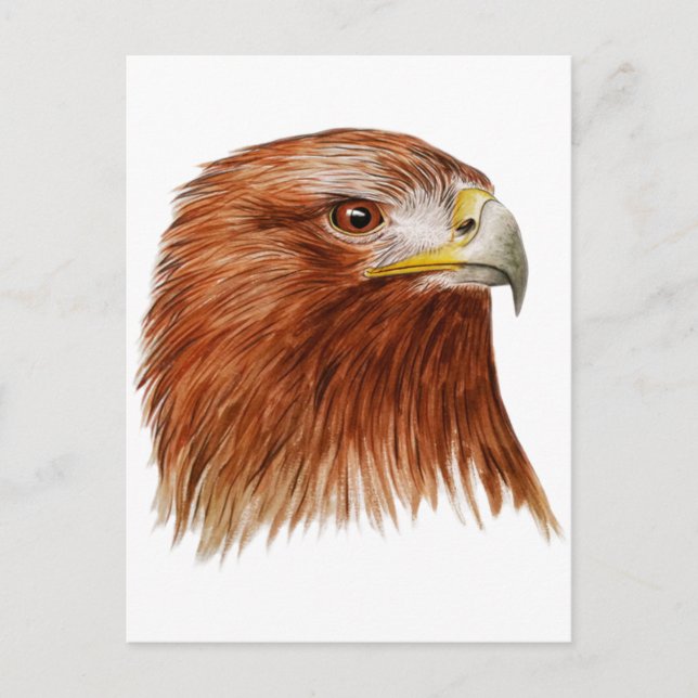 Golden Eagle 2011 Vykort (Framsida)