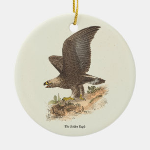 Golden Eagle (Aquila chrysaetos) NY Bird Image Julgransprydnad Keramik