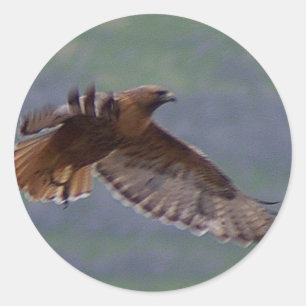 Golden Eagle-dekal Runt Klistermärke