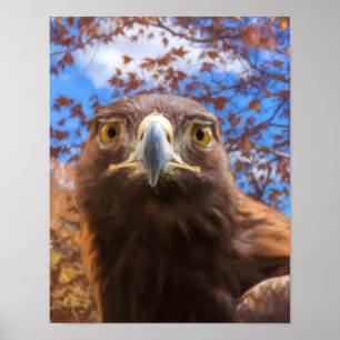Golden Eagle ’GOLDEN ÖGA’ Poster