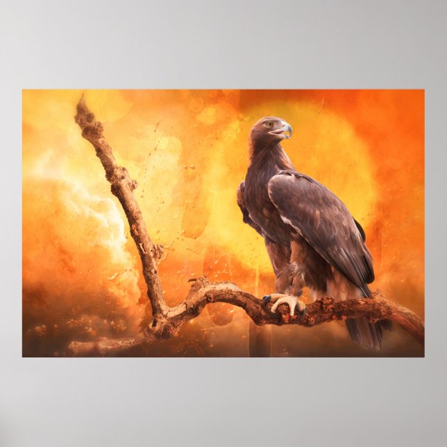 Golden Eagle, GOLDEN ONE Poster (Framsidan)