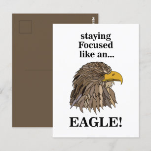 Golden Eagle Head Vykort