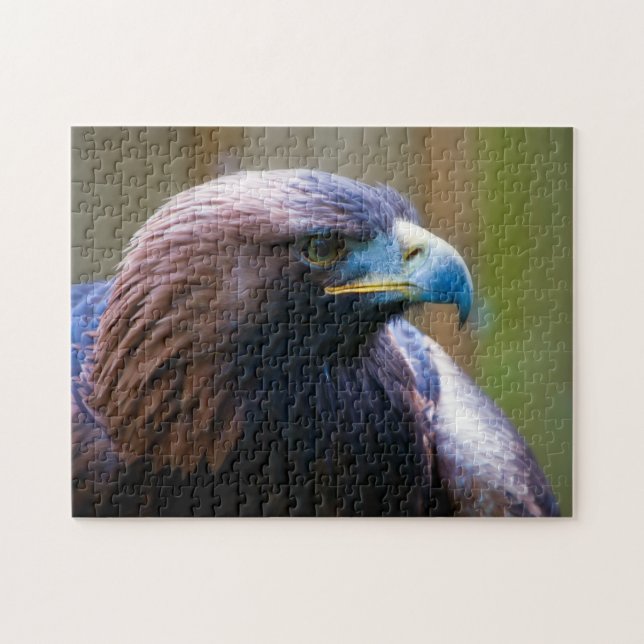 Golden Eagle Jigszle puzzle Pussel (Horisontell)