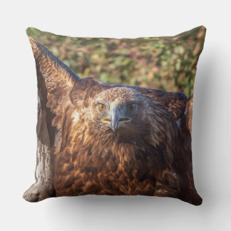 Golden eagle kudde