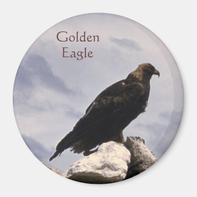 Golden Eagle Magnet (Framsidan)