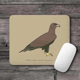 Golden Eagle Musmatta