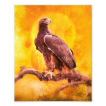 Golden Eagle One