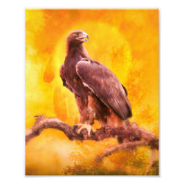 Golden Eagle One Fototryck