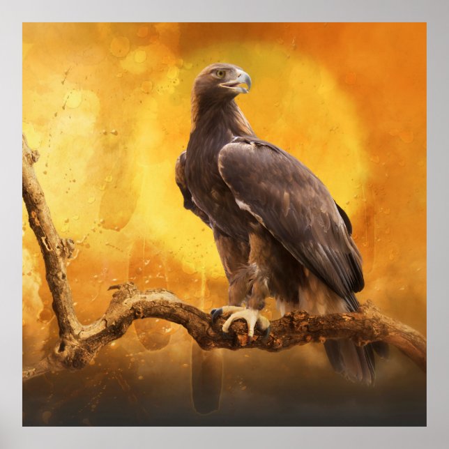 Golden Eagle One Poster (Framsidan)