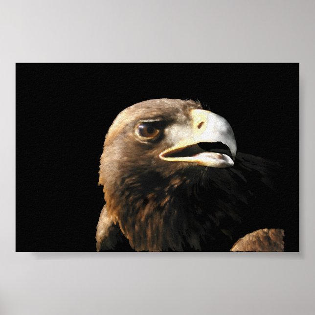 Golden Eagle Porträtt Poster (Framsidan)