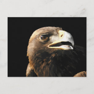 Golden Eagle Porträtt Vykort