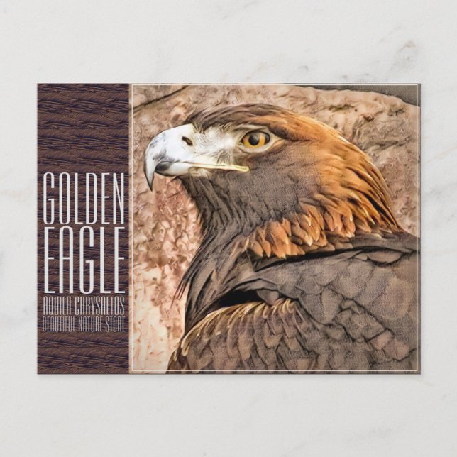 Golden Eagle [Postcard] Vykort (Framsida)