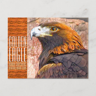 Golden Eagle [Postcard] Vykort