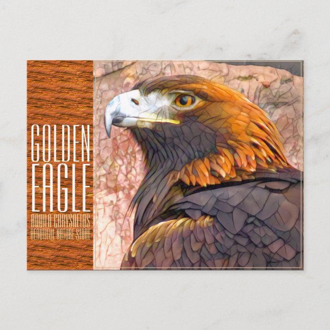 Golden Eagle [Postcard] Vykort (Framsida)