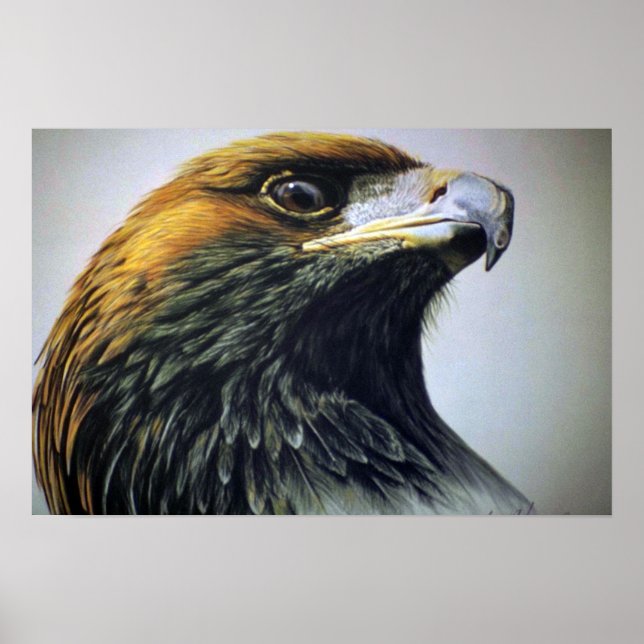 Golden Eagle Poster (Framsidan)