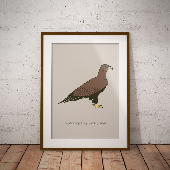 Golden Eagle Poster (Golden Eagle Framed Poster)