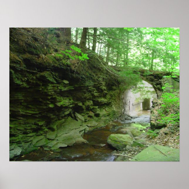 Golden Eagle Trail Poster (Framsidan)