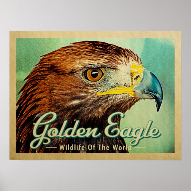 Golden Eagle - Världsfågelns vilt Poster (Framsidan)