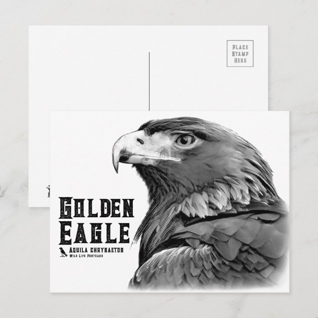 Golden Eagle Vykort (Fram/baksida)