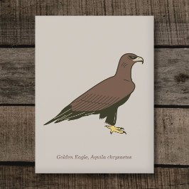 Golden Eagle Vykort