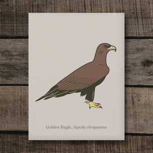 Golden Eagle Vykort
