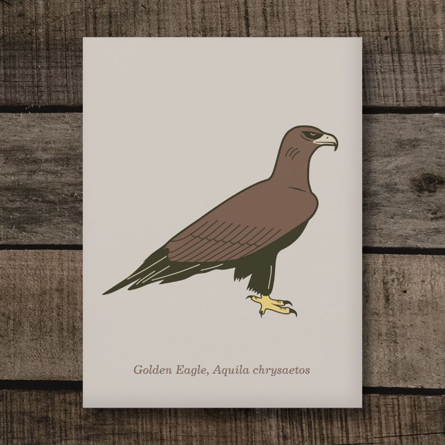 Golden Eagle Vykort (Golden Eagle Postcard)