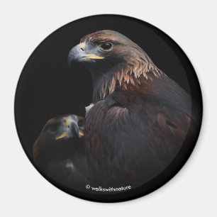 Golden Eagles: Beauties Thru the Pub Magnet
