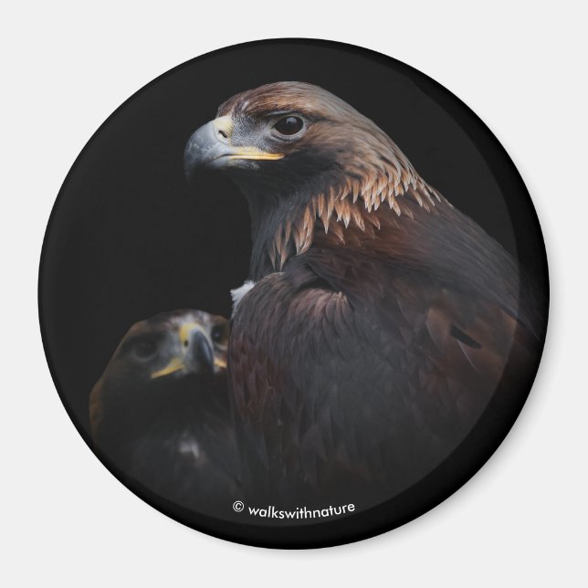 Golden Eagles: Beauties Thru the Pub Magnet (Framsidan)