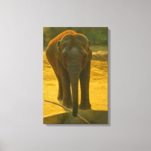 Golden Elephant Wisdom - Majestic Wildlife Canvastryck