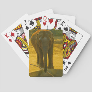 Golden Elephant Wisdom - Majestic Wildlife Casinokort