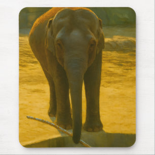 Golden Elephant Wisdom - Majestic Wildlife Musmatta