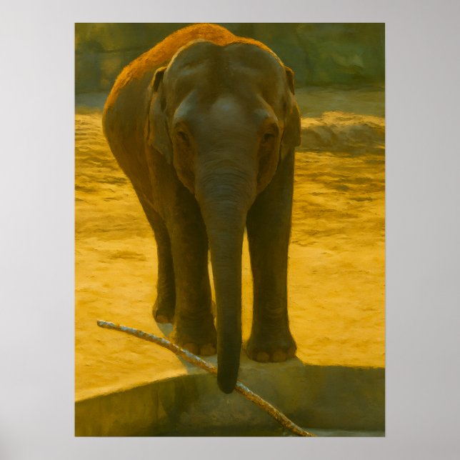 Golden Elephant Wisdom - Majestic Wildlife Poster (Framsidan)