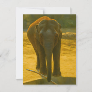 Golden Elephant Wisdom - Majestic Wildlife Vykort