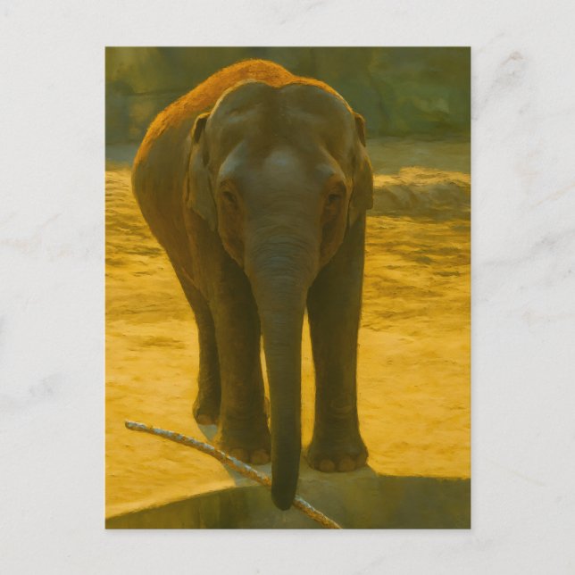 Golden Elephant Wisdom - Majestic Wildlife Vykort (Framsida)