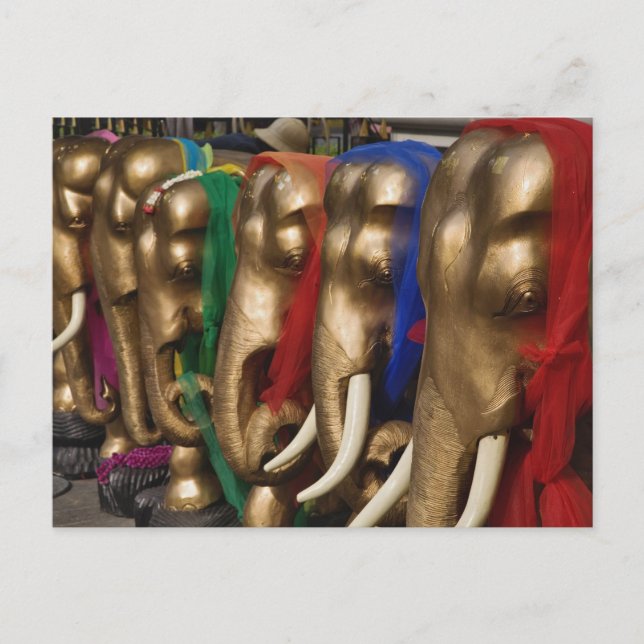 Golden Elephants Vykort (Framsida)