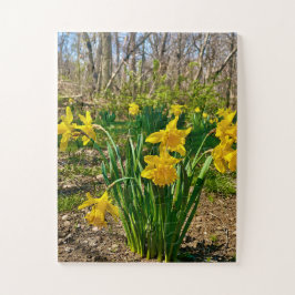Golden Embrace | Daffodil Bloom in Springtime Pussel