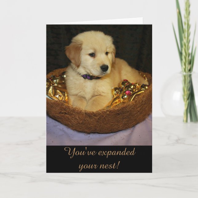 Golden Expandera det senaste nya tillägget Kort (Framsida)