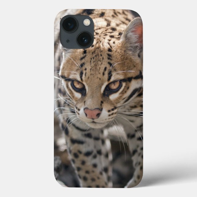 Golden Eyes iPad Mini-fodral (Baksida)
