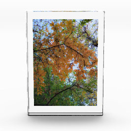 Golden Fall Photo Block