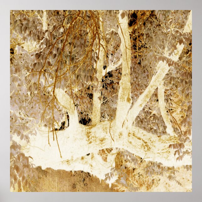 Golden Fall... Poster (Framsidan)