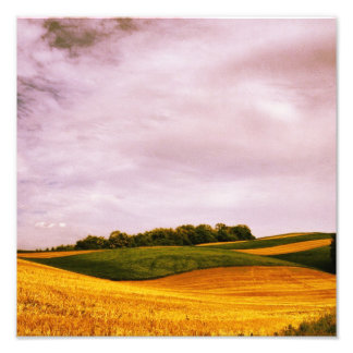Golden Farmland Fototryck
