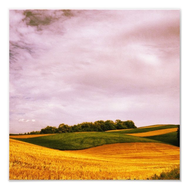 Golden Farmland Fototryck (Framsidan)