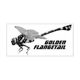 Golden Flangetail Stämpel