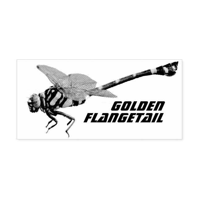 Golden Flangetail Stämpel (Tryck)