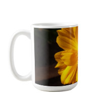 Golden Flower Macro Photography