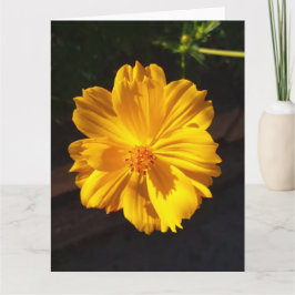 Golden Flower Macro Photography Kort