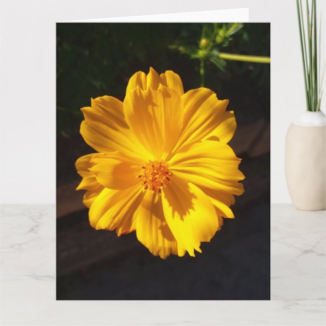Golden Flower Macro Photography Kort (Framsida)