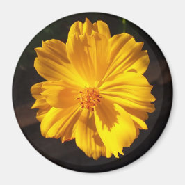 Golden Flower Macro Photography Magnet
