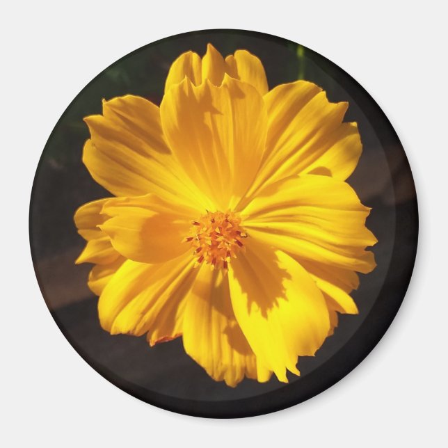 Golden Flower Macro Photography Magnet (Framsidan)